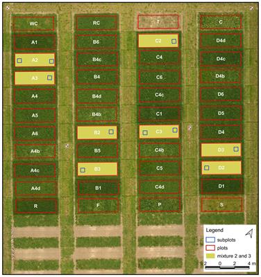 Quantification of species composition in grass-clover swards using RGB and multispectral UAV imagery and machine learning